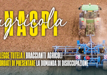 naspi agricola cuneo